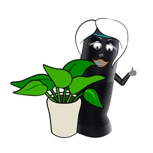 Alexa with a big plant