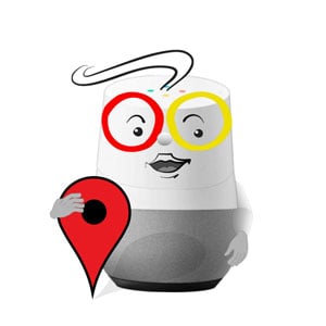 Google Home with Google Maps pin